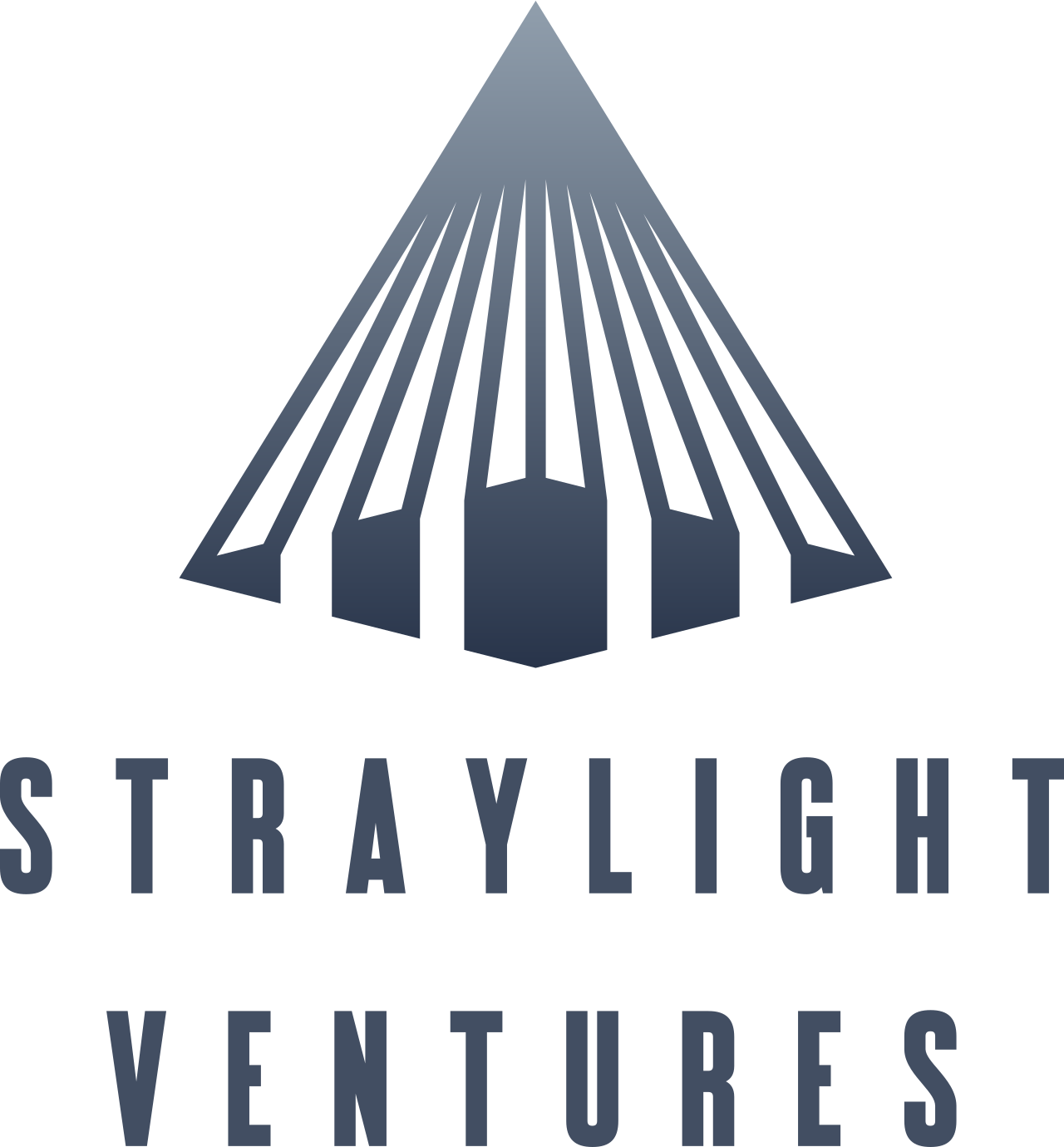 Straylight Ventures